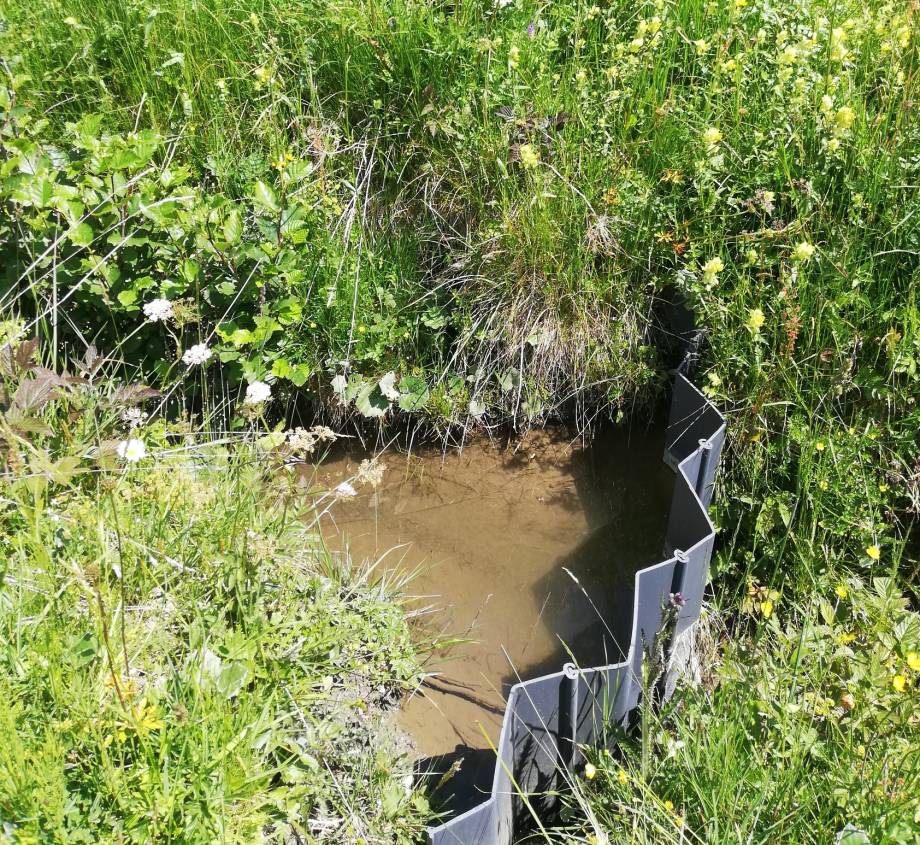 Palplanche amovible installé au printemps pour réorienter un écoulement vers la zone humide des Évettes © Asters