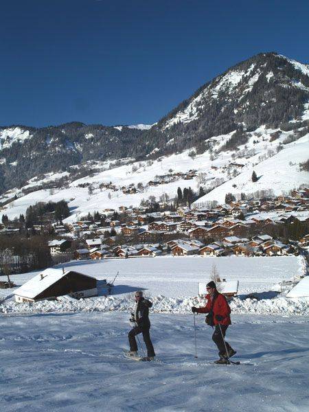 Sentier raquette à Praz-sur-Arly