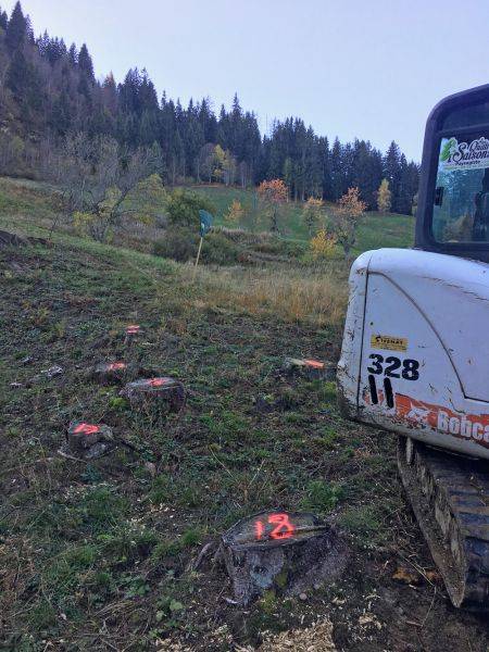 Zone humide d'Holvet : rognage de souches pour ramener la lumière en décembre 2019
