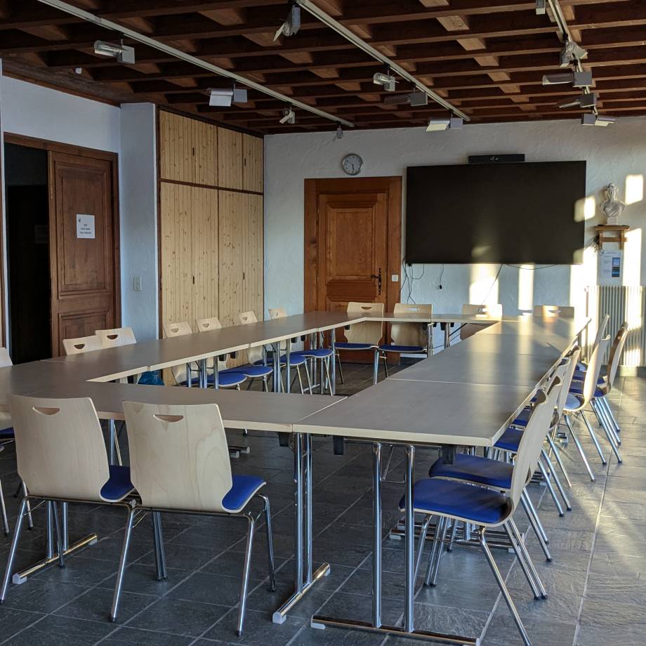 Salle du Conseil municipal : format carré - Marie-Anaïs Lien