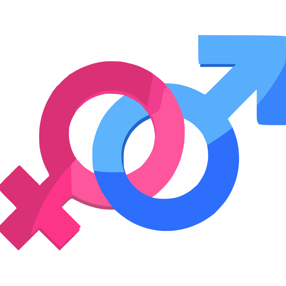 Santé sexuelle genre Homme ou femme - format carré - Pixabay