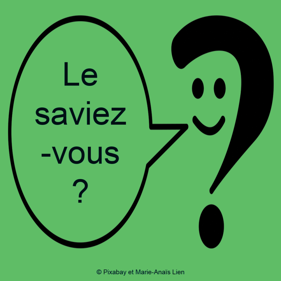 Le Saviez-vous ? - Pixabay/Marie-Anaïs Lien