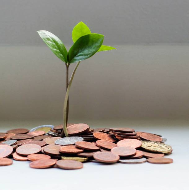 Soutien financier, accompagnement de projet, subvention, de l'idée au projet - Université de Sherbrooke