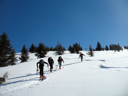 Balisage de la zone de préservation du tétras-lyre