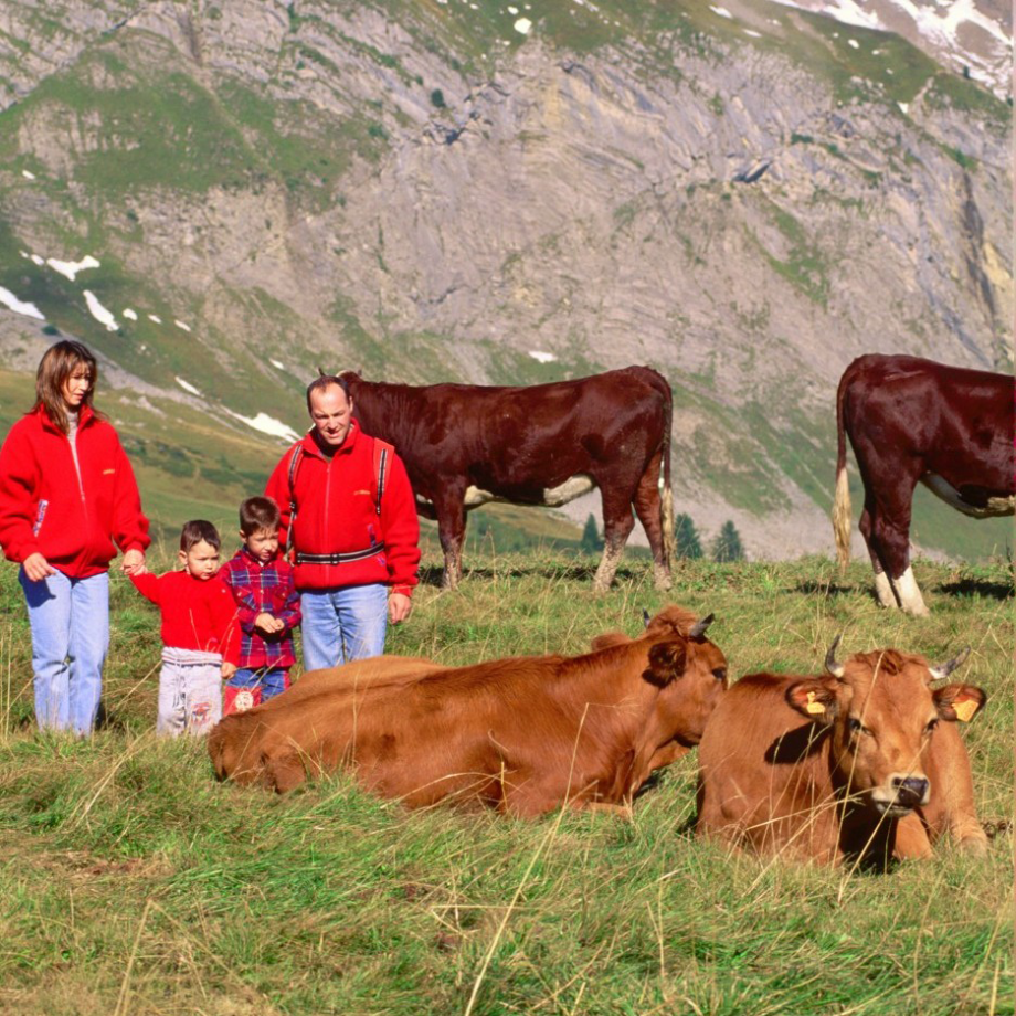 Agriculture en montagne