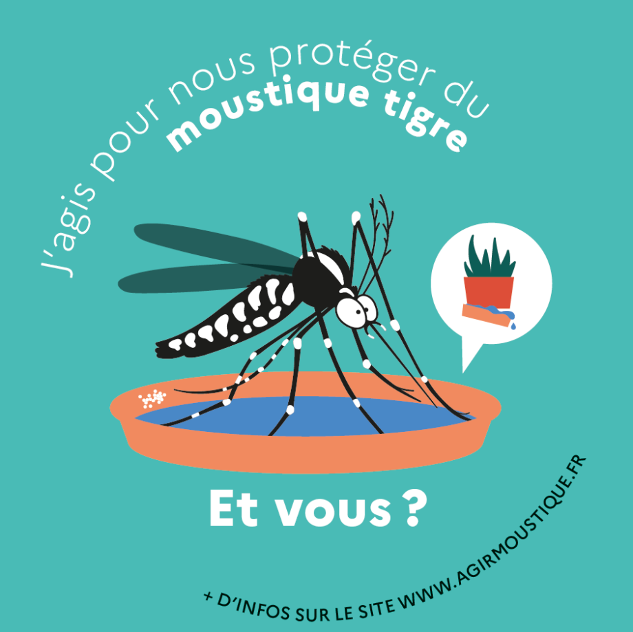 Moustique tigre - Format carré - ARS AuRA